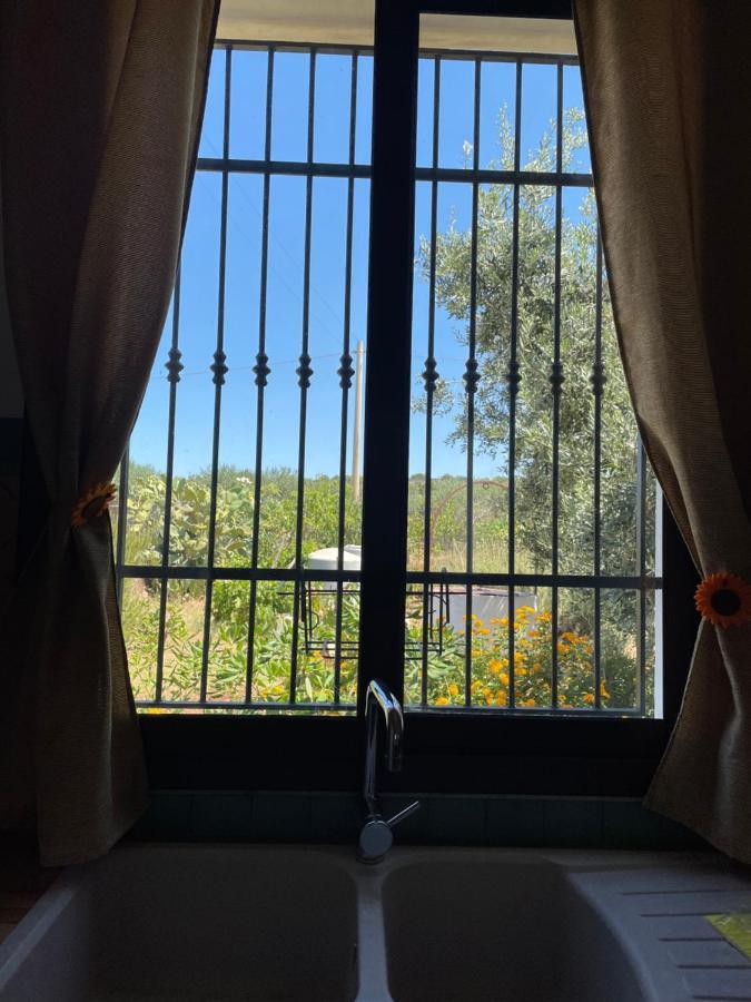 La Casetta Degli Ulivi Con Piscina Menfi Eksteriør bilde